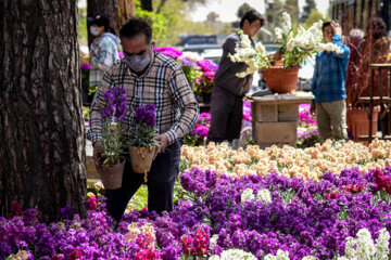 Marché aux fleurs de Chiraz à l’approche du Nouvel An