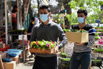 Marché aux fleurs de Chiraz à l’approche du Nouvel An