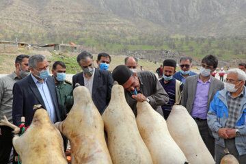 «سید صولت مرتضوی» معاون اجرایی رییس جمهور برای عبور از رودخانه بین روستای گزستان و مناطق عشایری اطراف از کلک (وسیله انتقال محلی ساخته شده از پوست حیوانات) استفاده کرد.