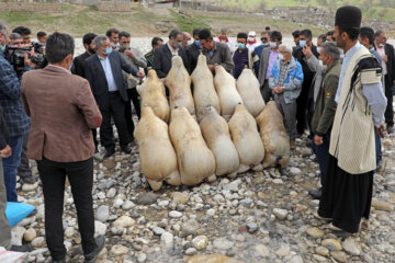 «سید صولت مرتضوی» معاون اجرایی رییس جمهور برای عبور از رودخانه بین روستای گزستان و مناطق عشایری اطراف از کلک (وسیله انتقال محلی ساخته شده از پوست حیوانات) استفاده کرد.