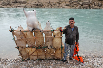 «سید صولت مرتضوی» معاون اجرایی رییس جمهور برای عبور از رودخانه بین روستای گزستان و مناطق عشایری اطراف از کلک (وسیله انتقال محلی ساخته شده از پوست حیوانات) استفاده کرد.