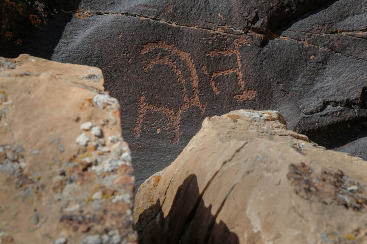 سنگ نگاره‌های «جربت»؛ موزه ای در دامان طبیعت