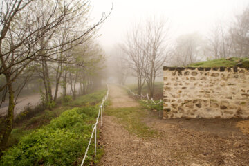 Le jardin d’Abbasabad, perle de la province de Māzandarān au nord de l’Iran 