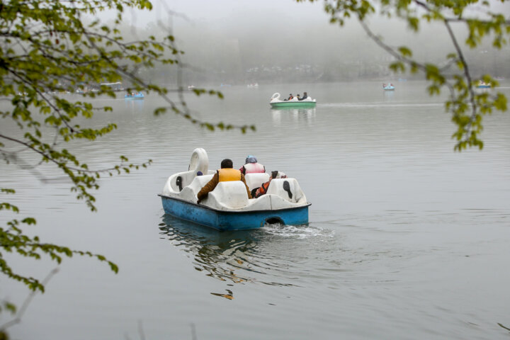 ایجاد صنایع بزرگ برای حل بیکاری؛ برد-برد یا بازی دو سر باخت در شرق مازندران ؟