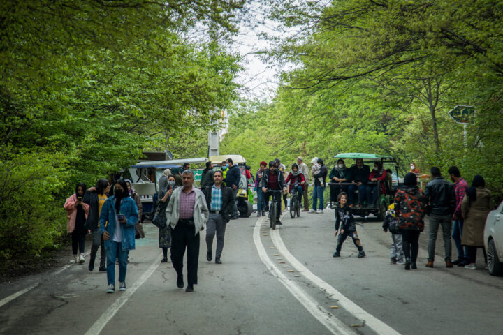 اثرات مثبت طبیعت بر سلامت روانی