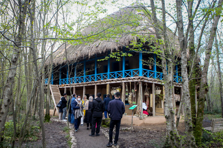 شوق و شکایت گردشگران در گیلان