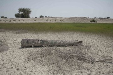 ساکنين قصر قند بخش تلنگ استان سیستان وبلوچستان که در مناطق خشک و نیمه‌خشک  زندگی میکنند از ديرباز با لمس واقعيت خشکي، به تجربه و با زيرکي به روشهاي متعددي براي استحصال آب، گسترش کشاورزي و بيابان زدايي دست‌یافته‌اند و خود را با طبيعت وفق داده‌اند.