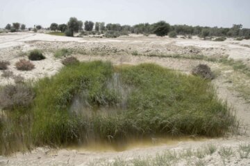 ساکنين قصر قند بخش تلنگ استان سیستان وبلوچستان که در مناطق خشک و نیمه‌خشک  زندگی میکنند از ديرباز با لمس واقعيت خشکي، به تجربه و با زيرکي به روشهاي متعددي براي استحصال آب، گسترش کشاورزي و بيابان زدايي دست‌یافته‌اند و خود را با طبيعت وفق داده‌اند.