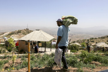 روز طبیعت در شیراز