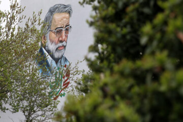 روز شهادت «فخری‌زاده» روز «فناوری ایرانی» نام گرفت