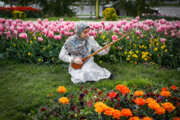 İran’ın Erak kentinde lale Festivalinden fotoğraflar