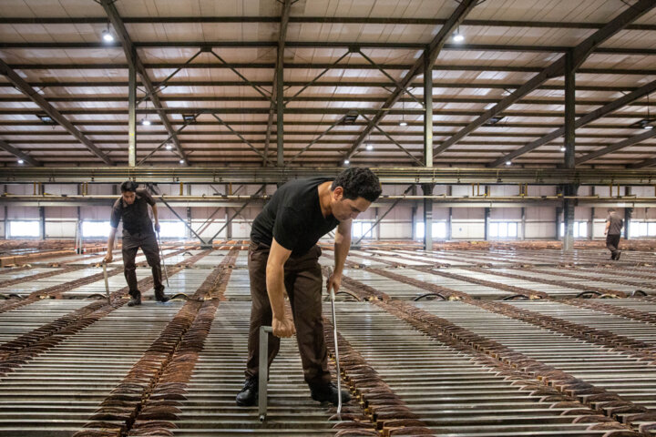 رشد اقتصادی نیمه اول امسال مثبت بود/ تاکید بر فعالسازی ظرفیتهای تولید