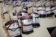 افزایش ۵۸ درصدی اهدای خون عزاداران حسینی در خراسان رضوی 