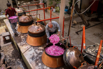Festival de las flores y el Agua de rosas de Meymand