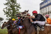 اسب‌های برنده هفته دوم کورس اسبدوانی گنبدکاووس معرفی شدند