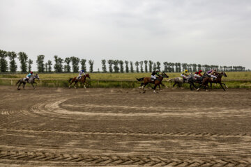 Curso de Equitación en Gonbade-Kavus
