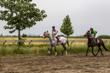 Curso de Equitación en Gonbade-Kavus
