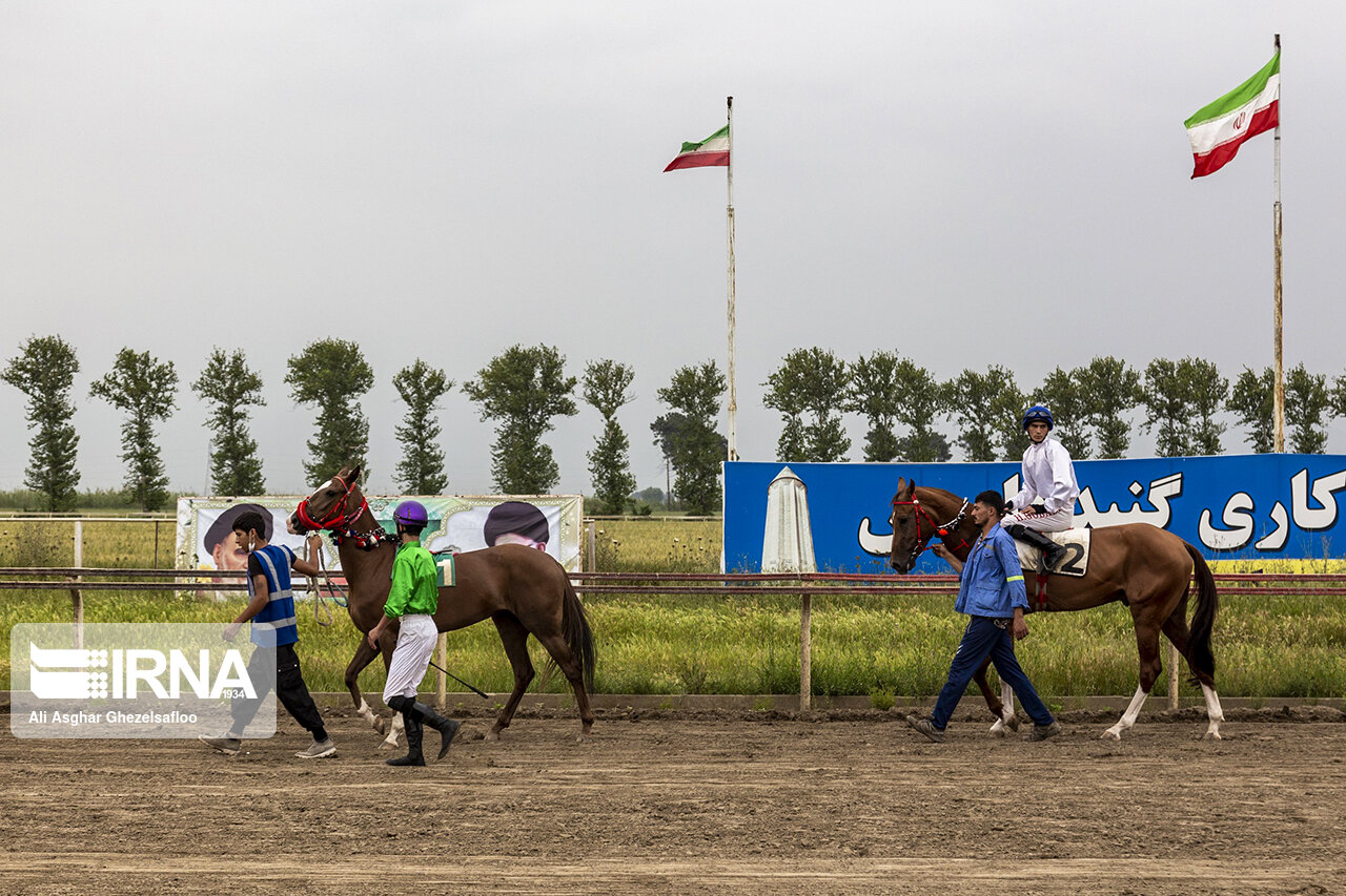 ۹ میلیارد ریال جایزه برای اسب‌های برتر کورس گنبدکاووس تعیین شد