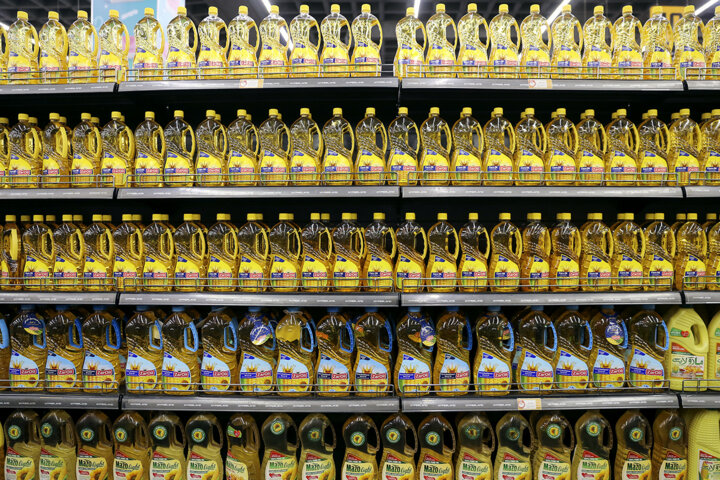 ۴۰۰ تن مرغ منجمد روز جمعه در مازندران توزیع شد