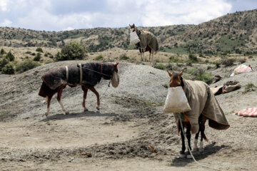 کورس بهاره در روستای باغلق راز جرگلان