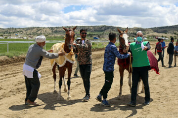 کورس بهاره در روستای باغلق راز جرگلان