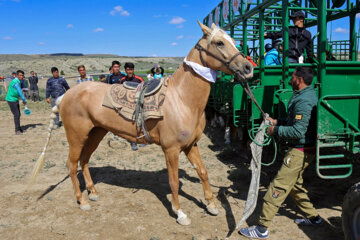 کورس بهاره در روستای باغلق راز جرگلان