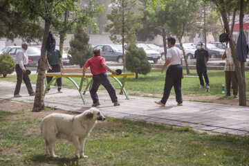 گرد و خاک در آسمان- کرمانشاه