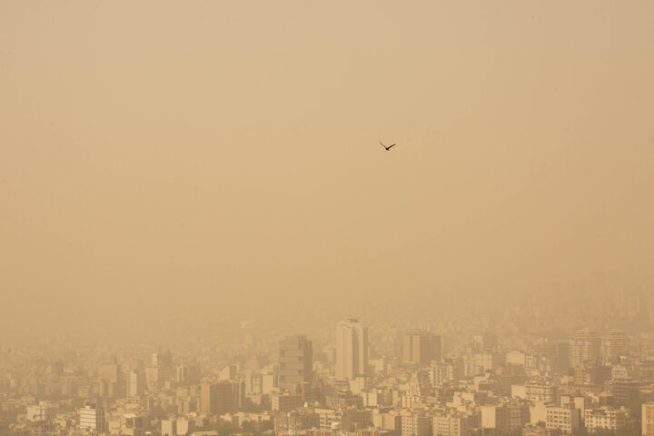 تعیین حریم، تامین حقآبه و مدیریت مشارکتی راهکار احیای تالابهای گلستان