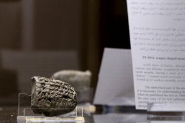 Iran : Dévoilement des tablettes historiques de Persépolis au Sud