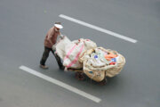 کاهش ۷۰ درصدی عدم آراستگی ناشی از فعالیت زباله‌گردها در پایتخت