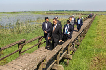 
L’ambassadeur de Japon à Téhéran en visite à la réserve naturelle de Selké dans le nord de l'Iran
