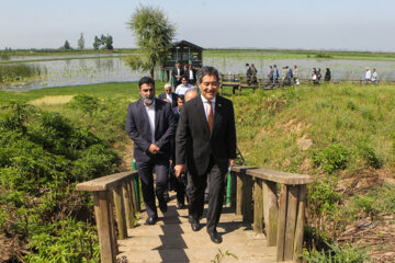 
L’ambassadeur de Japon à Téhéran en visite à la réserve naturelle de Selké dans le nord de l'Iran
