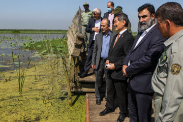 
L’ambassadeur de Japon à Téhéran en visite à la réserve naturelle de Selké dans le nord de l'Iran
