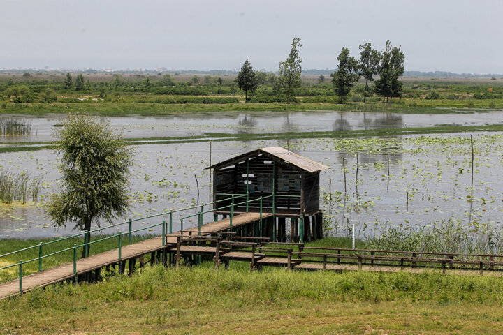 صومعه سرا| سلکه| می هتل| بهارگیلان