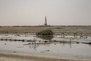 ضرب الاجل خروج کارخانه کربن از اهواز/ارزیابی زیست‌محیطی توسعه میدان نفتی سهراب درحال بررسی