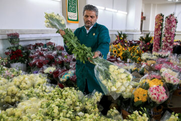 گلسرای رضوی