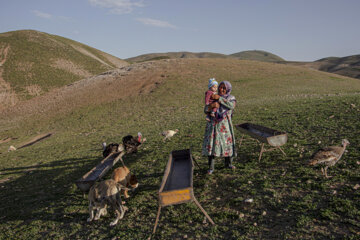 زندگی عشایری در دل طبیعت