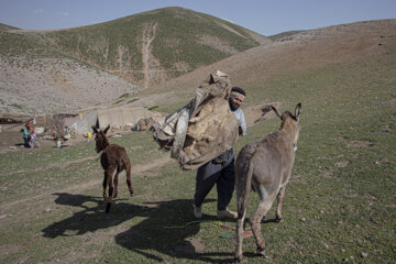 زندگی عشایری در دل طبیعت