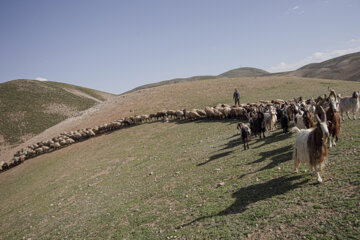 زندگی عشایری در دل طبیعت