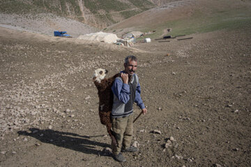 زندگی عشایری در دل طبیعت