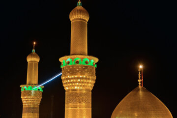 شب میلاد امام رضا (ع) در کربلای معلی