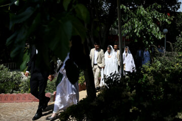 جشن ازدواج دانشجویی دانشگاه افسری امام علی (ع)
