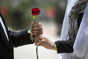 طلاق توافقی در البرز ۲۱ درصد کاهش یافت