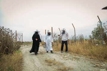 حجت الاسلام «مهدی خدادادی»  زنبورداری را تا جایی گسترش داده که در حال حاضر ۴۵ کندو زنبور عسل دارد و به گفته خودش نیمی از آنها را وقف و نذر امامزاده و کار فرهنگی و تبلیغ کرده است