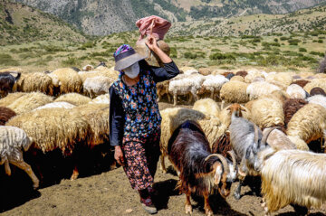 عشایر دیلمان