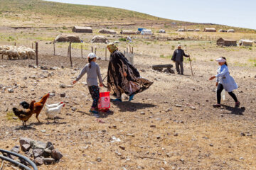 عشایر منطقه کوهستانی ارسباران 