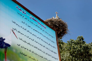 La lac Zaribar: bienvenue dans la destination préférée des cigognes en Iran 