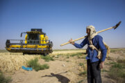 کشاورزان خوزستانی برای سوخت ادوات برداشت محصولات نگرانی نداشته باشند