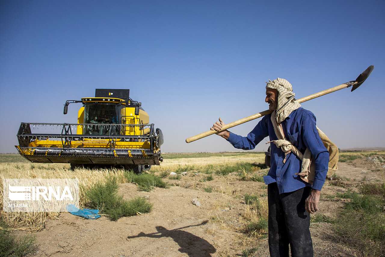 نگرانی کشاورزان کرمانی از سوخت از تغییر روش توزیع تا ضرورت اتصال سیستم ها