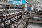 ۷۶ واحد تولیدی با اشتغالزایی برای یکهزار و ۳۹۲ در استان سمنان ایجاد شد